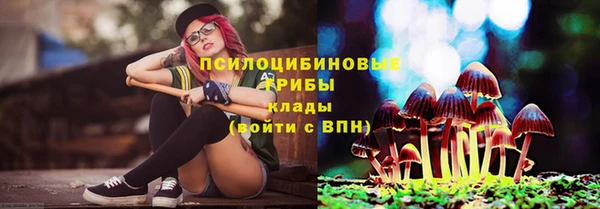 прущие грибы Семикаракорск