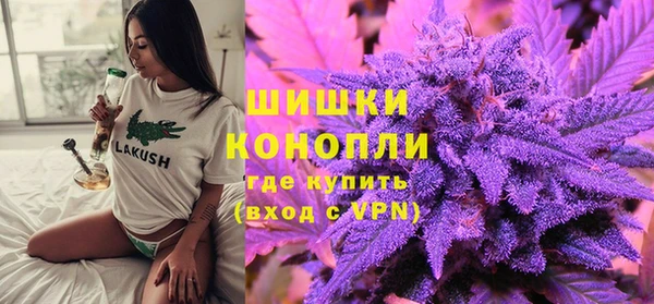сатива Алзамай