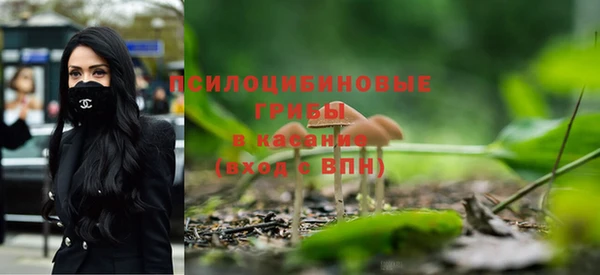трава Алексин