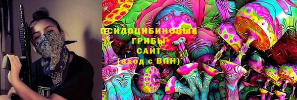 сатива Алзамай
