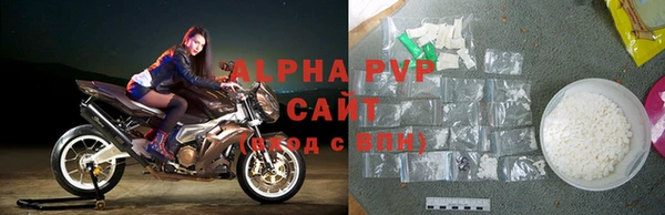прущие грибы Семикаракорск