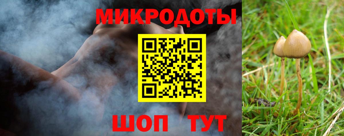 Псилоцибиновые грибы Psilocybine cubensis Борзя