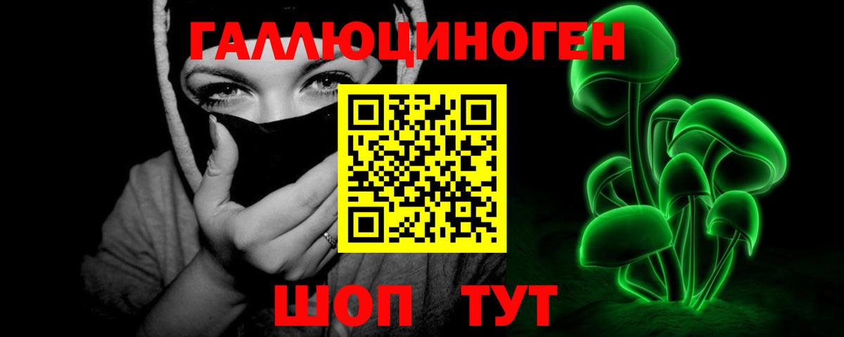 Борзя  Псилоцибиновые грибы Psilocybe  Вход с VPN 